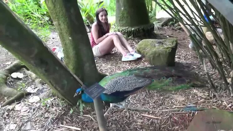Explore the Outdoors with Jade's Big Cock!