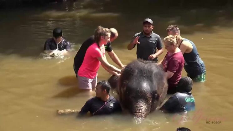 Small Tits, Big Adventure with Elena Koshka