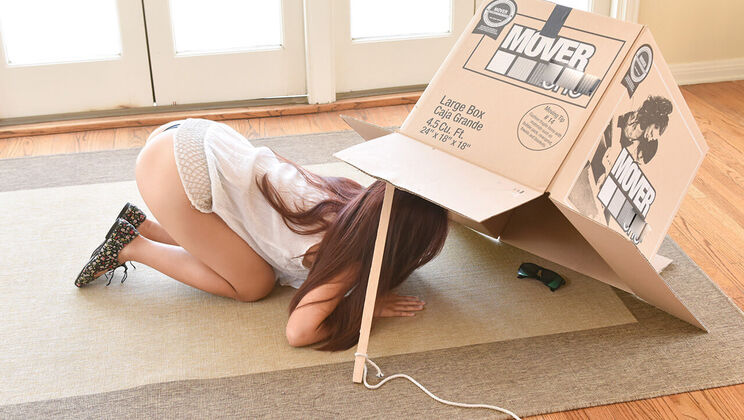 [ExxxtraSmall] -  Itsy Bitsy Thief in a Tight Spot 