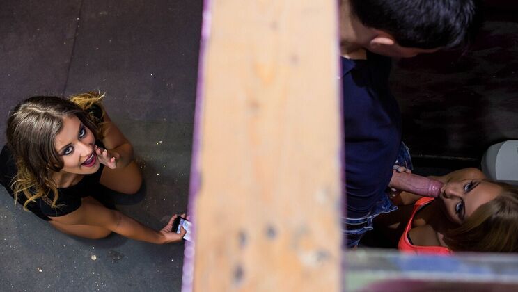 Catching the Dick Thief in Action