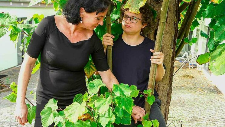 [Grandmams] - True Voyeur Fantasy