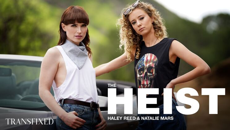 [Transfixed] - Natural Tits and Hardcore Heist with Transfixed Stars - Haley Reed - Natalie Mars